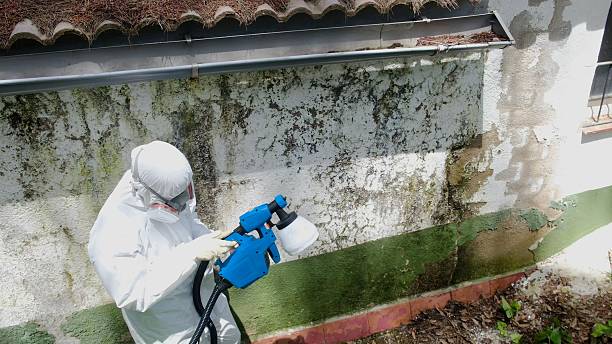 Top rated local Attic Mold Remediation specialists in Pope Army Airfield, NC